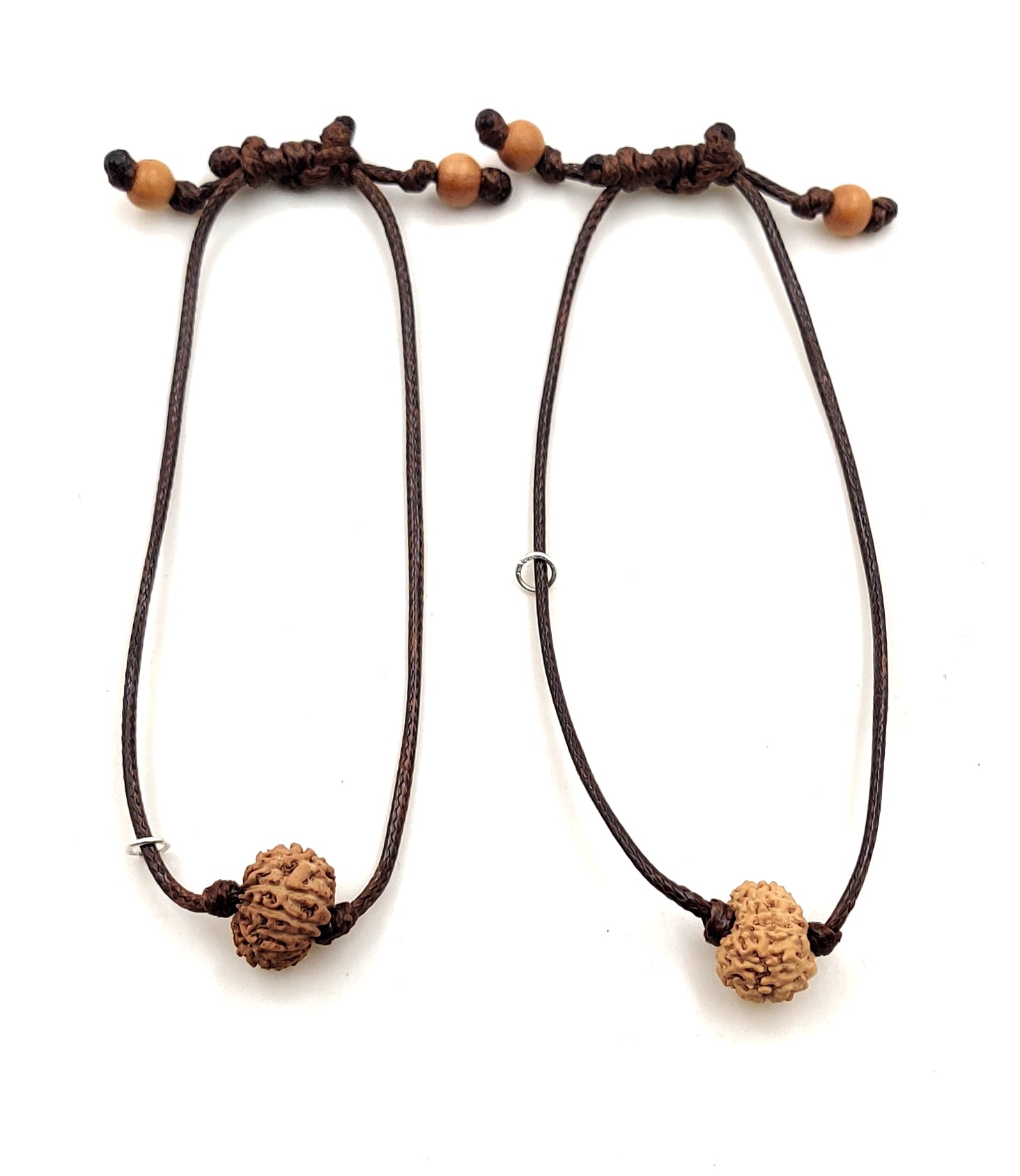 14-Eye-Rudraksha (Java) -Lestend le troisième œil, la volonté et apporte des énergies Thwar